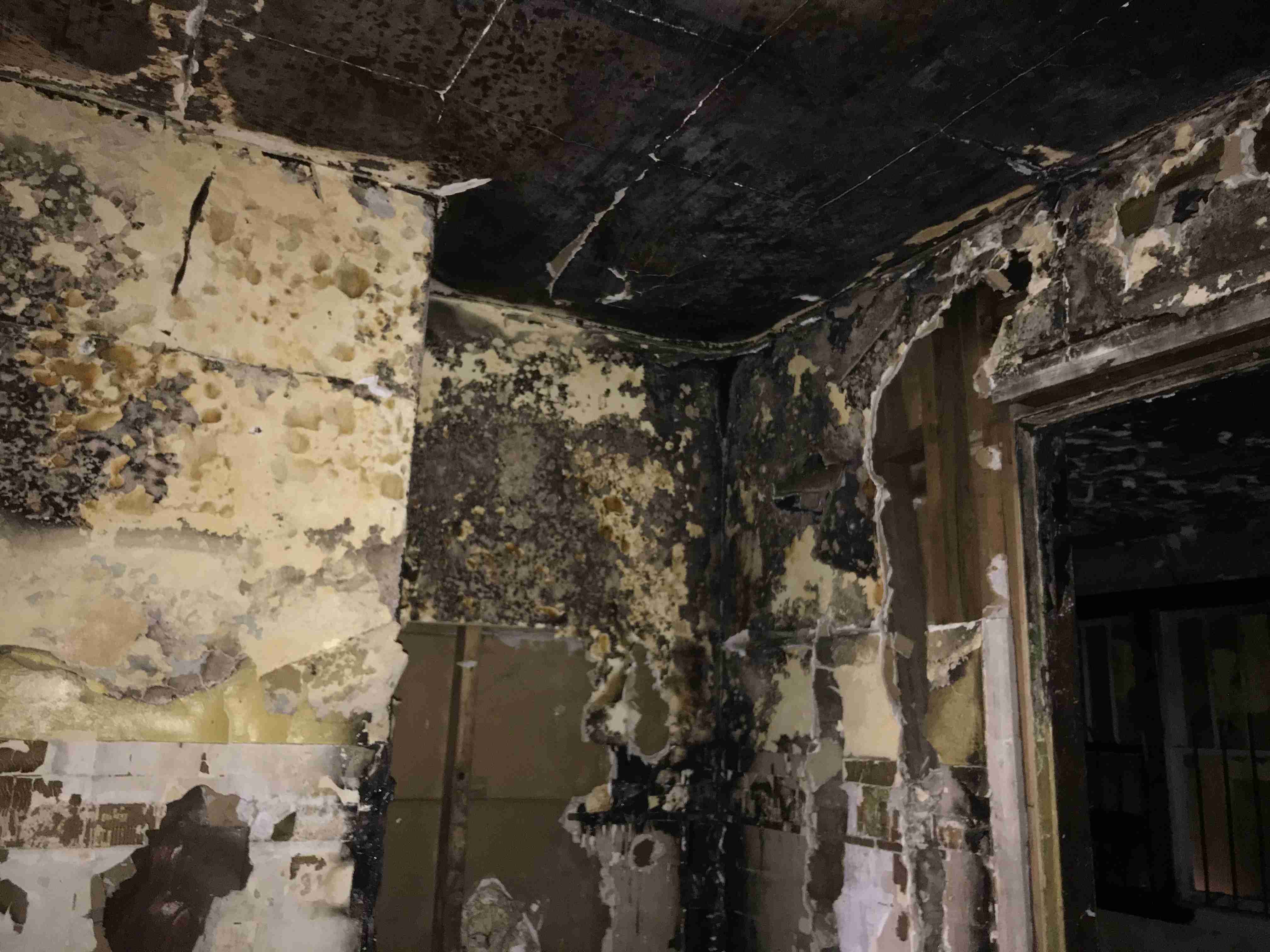 Photo Nov 05, 2 15 54 PM.jpg